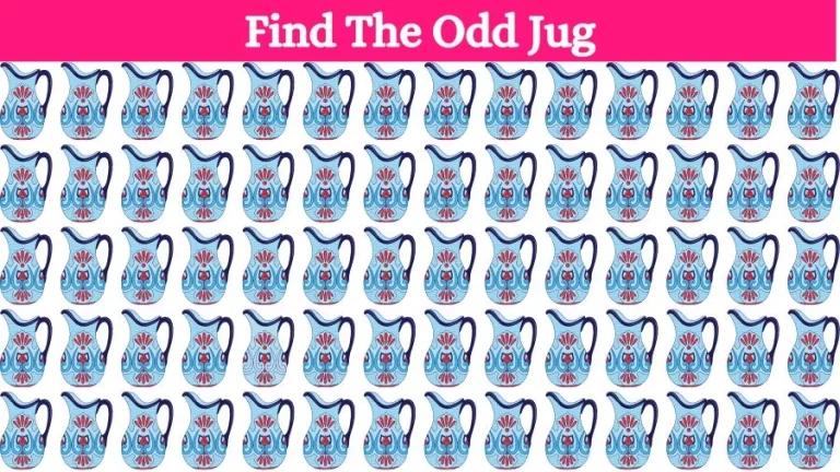 Optical Illusion Brain Challenge: Can you find the Odd Jug in 12 Seconds?