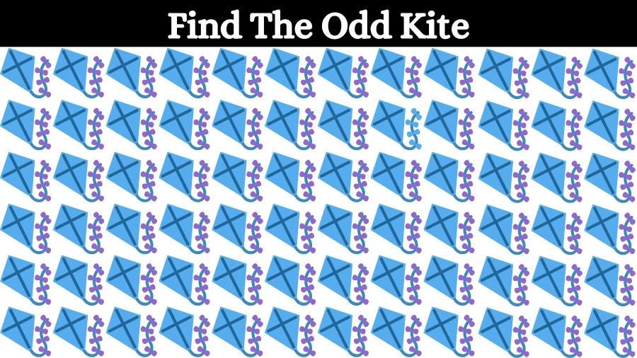 Optical Illusion Brain Challenge: Can you find the Odd Kite in 12 Seconds?