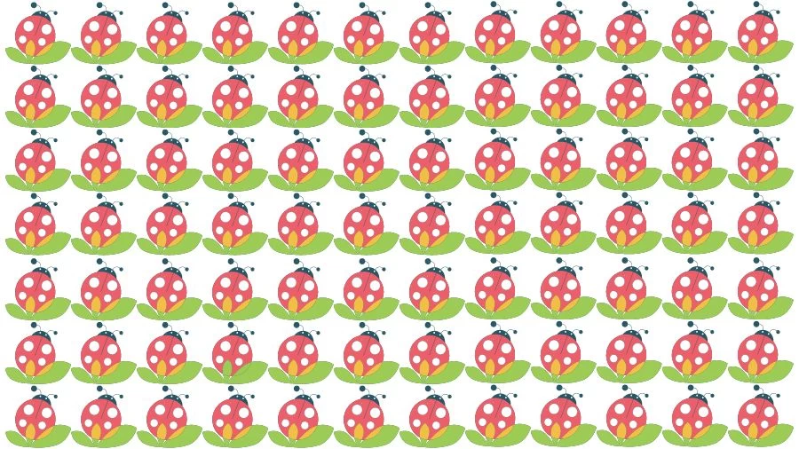 Optical Illusion Brain Challenge: Can you find the Odd Ladybug in 12 Seconds?