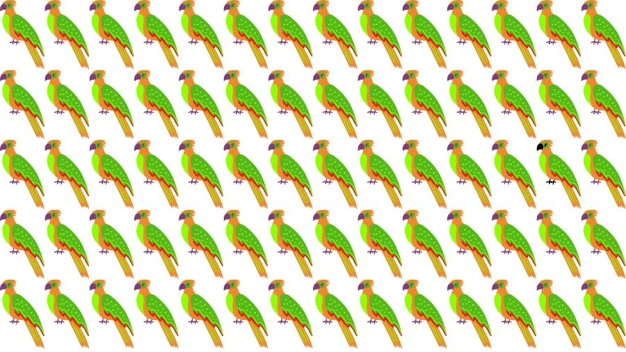 Optical Illusion Brain Challenge: Can you find the Odd Parrot in 12 Seconds?