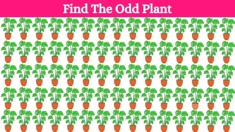 Optical Illusion Brain Challenge: Can you find the Odd Plant in 12 Seconds?