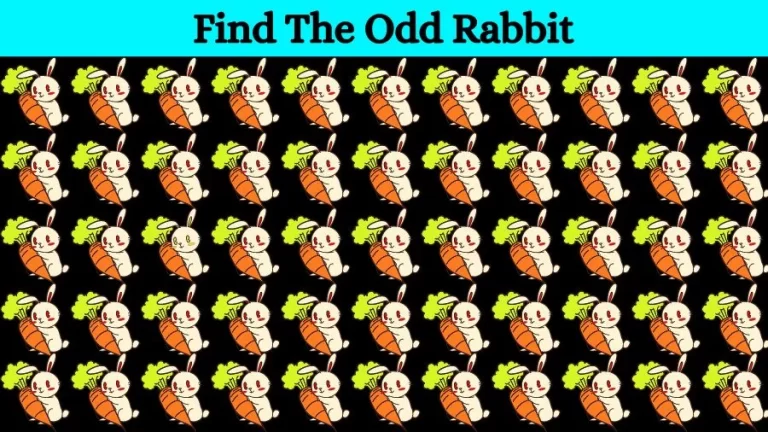 Optical Illusion Brain Challenge: Can you find the Odd Rabbit in 12 Seconds?