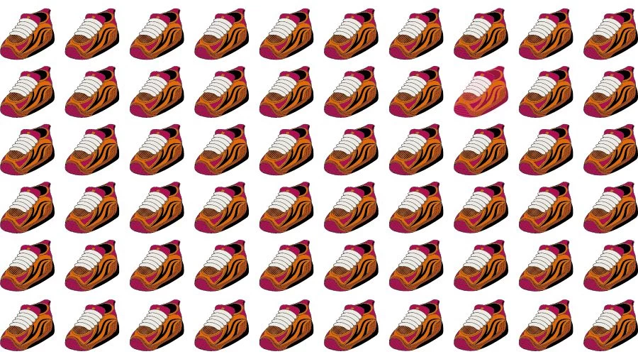 Optical Illusion Brain Challenge: Can you find the Odd Shoe in 16 Seconds?