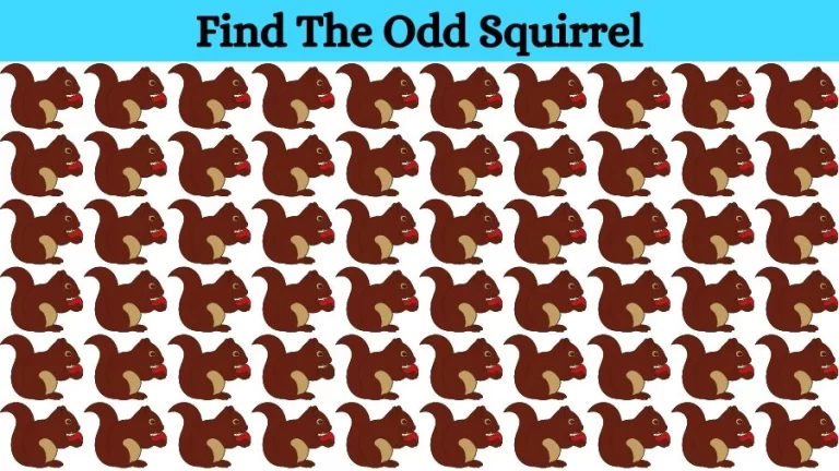 Optical Illusion Brain Challenge: Can you find the Odd Squirrel in 12 Seconds?