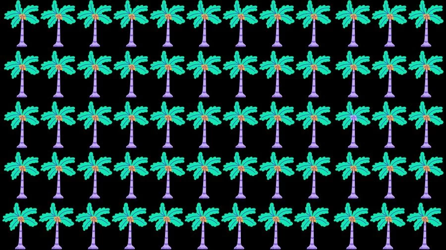 Optical Illusion Brain Challenge: Can you find the Odd Tree in 12 Seconds?