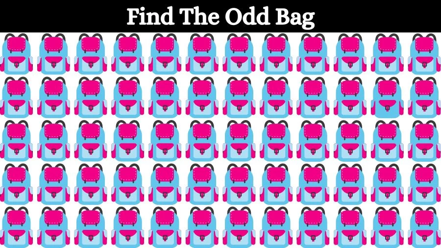 Optical Illusion Eye Test: Can you find the Odd Bag in 20 Seconds?