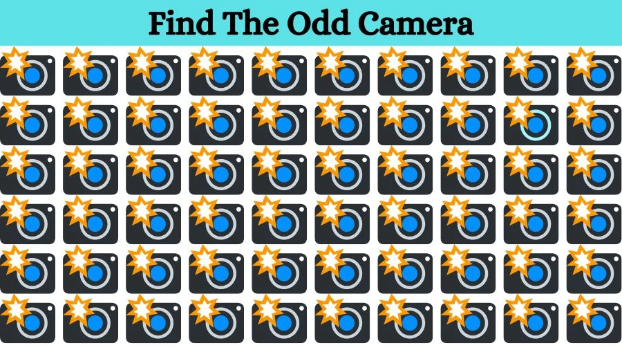 Optical Illusion Eye Test: Can you find the Odd Camera in 20 Seconds?