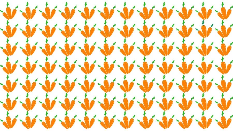 Optical Illusion Eye Test: Can you find the Odd Carrot in 20 Seconds?