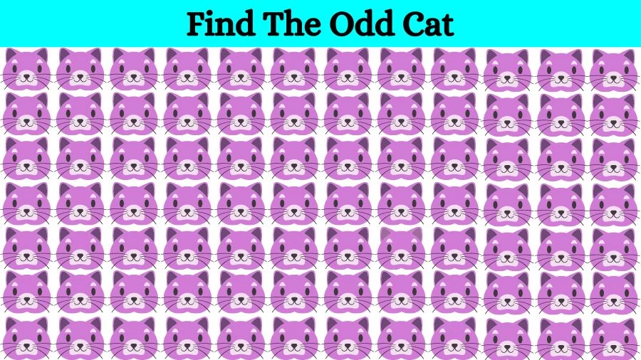 Optical Illusion Eye Test: Can you find the Odd Cat in 20 Seconds?