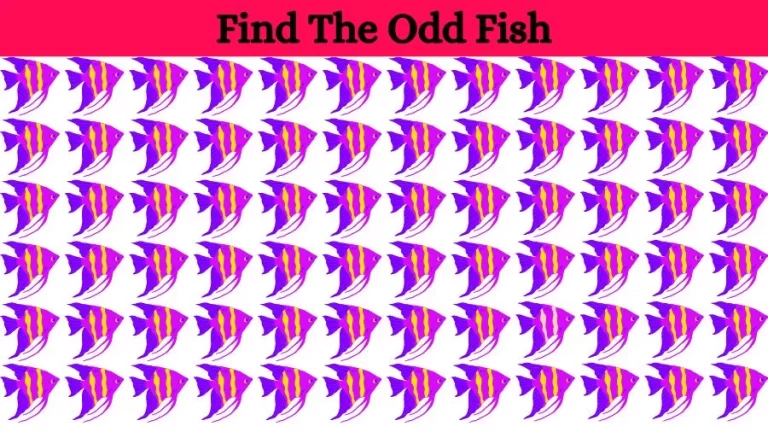 Optical Illusion Eye Test: Can you find the Odd Fish in 20 Seconds?