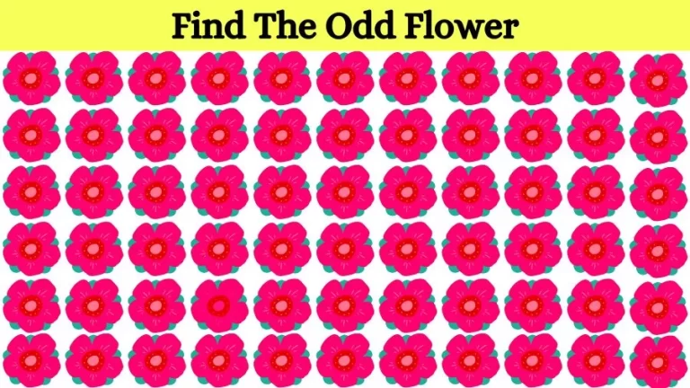 Optical Illusion Eye Test: Can you find the Odd Flower in 20 Seconds?