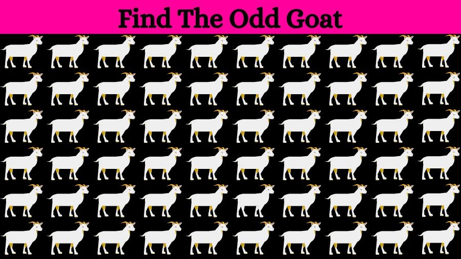 Optical Illusion Eye Test: Can you find the Odd Goat in 20 Seconds?