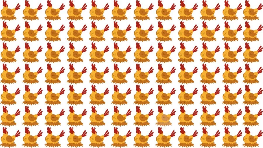 Optical Illusion Eye Test: Can you find the Odd Hen in 20 Seconds?