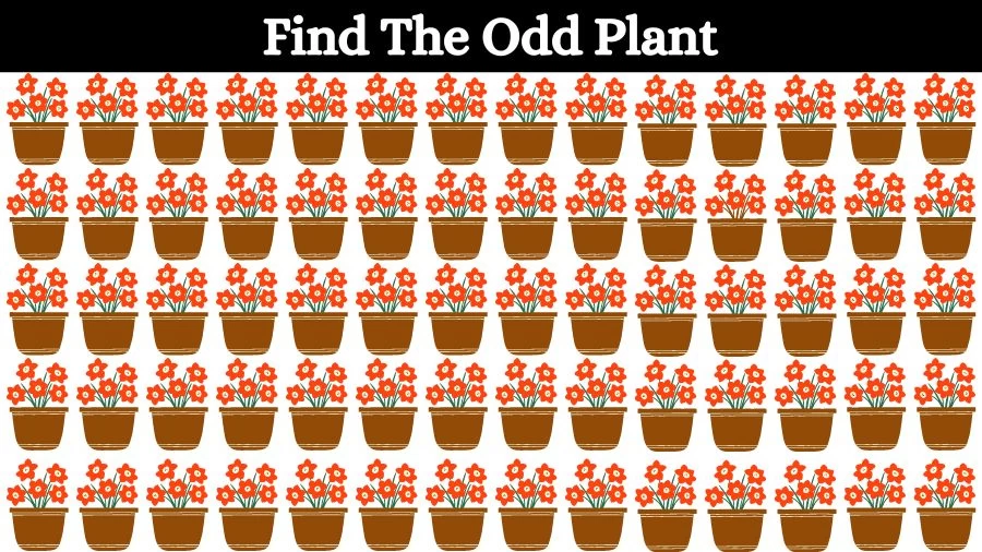 Optical Illusion Eye Test: Can you find the Odd Plant in 20 Seconds?