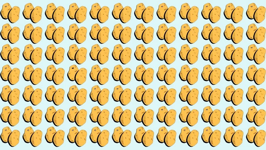 Optical Illusion Eye Test: Can you find the Odd Potato in 20 Seconds?