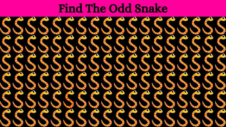 Optical Illusion Eye Test: Can you find the Odd Snake in 20 Seconds?