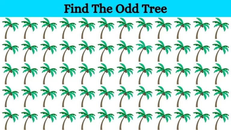 Optical Illusion Eye Test: Can you find the Odd Tree in 20 Seconds?