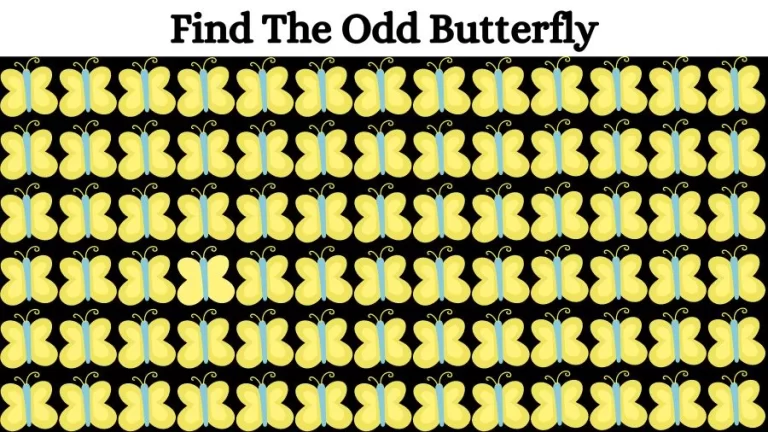 Optical Illusion Eye Test: Try to find the Odd Butterfly in this Image