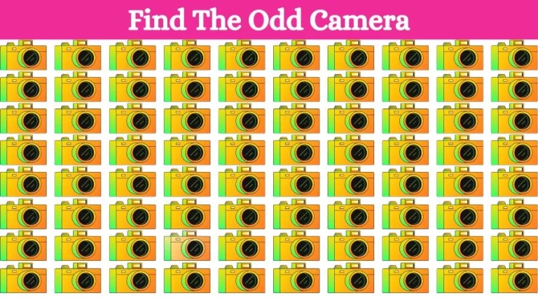 Optical Illusion Eye Test: Try to find the Odd Camera in this Image