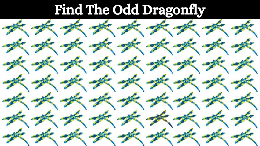 Optical Illusion Eye Test: Try to find the Odd Dragonfly in this Image