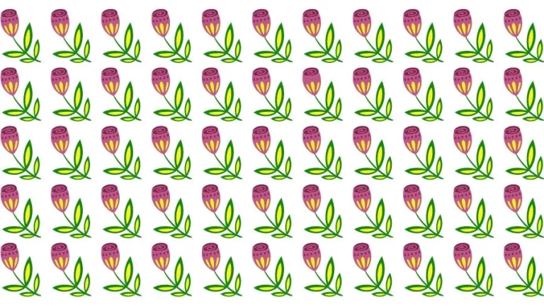 Optical Illusion Eye Test: Try to find the Odd Flower in this Image