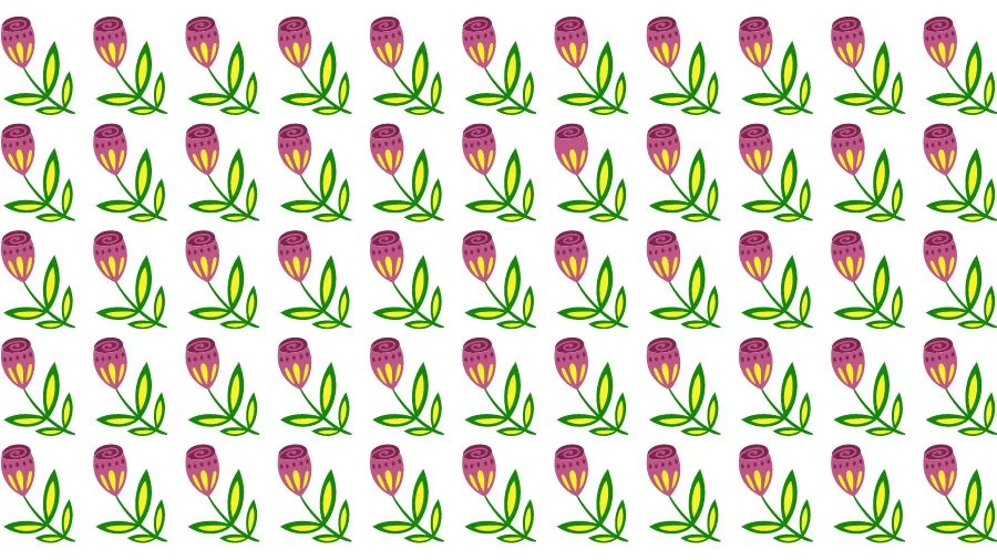 Optical Illusion Eye Test: Try to find the Odd Flower in this Image