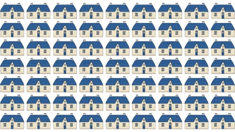 Optical Illusion Eye Test: Try to find the Odd House in this Image