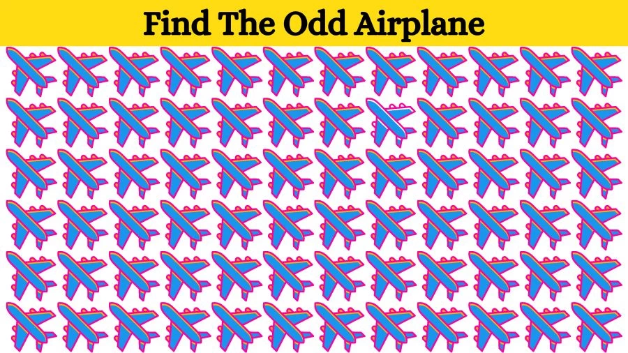 Optical Illusion Eye Test: Try to find the Odd Ice Airplane in this Image