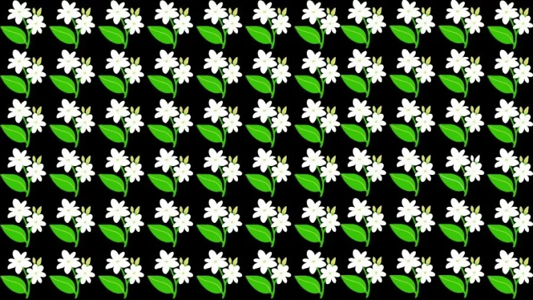 Optical Illusion Eye Test: Try to find the Odd Jasmine Flower in this Image