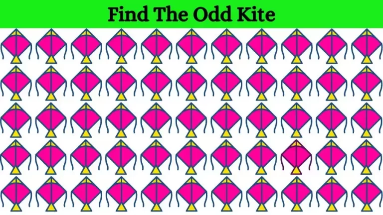 Optical Illusion Eye Test: Try to find the Odd Kite in this Image