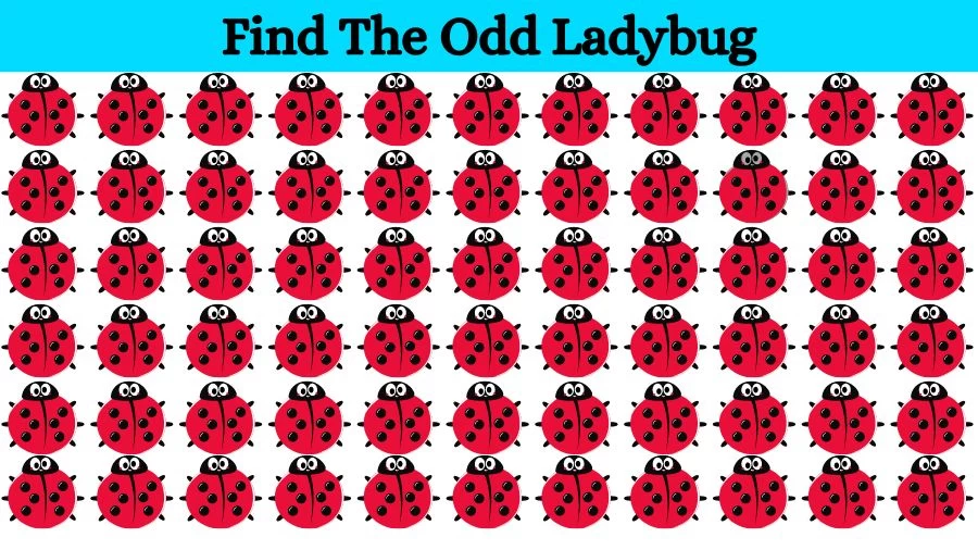 Optical Illusion Eye Test: Try to find the Odd Ladybug in this Image