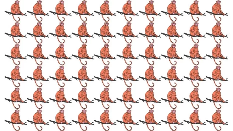 Optical Illusion Eye Test: Try to find the Odd Monkey in this Image