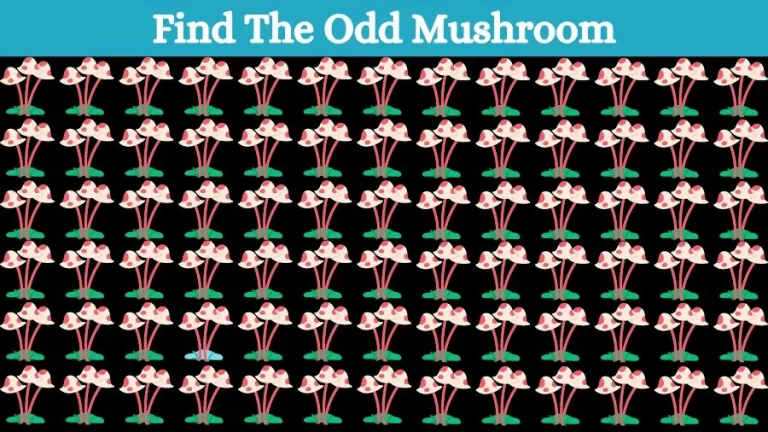 Optical Illusion Eye Test: Try to find the Odd Mushroom in this Image