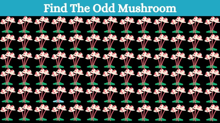 Optical Illusion Eye Test: Try to find the Odd Mushroom in this Image