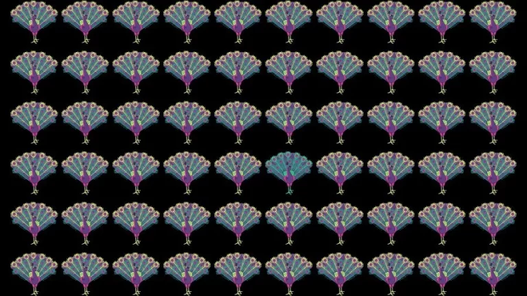 Optical Illusion Eye Test: Try to find the Odd Peacock in this Image