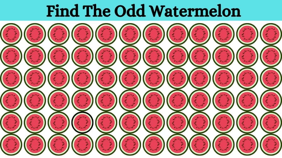 Optical Illusion Eye Test: Try to find the Odd Watermelon in this Image