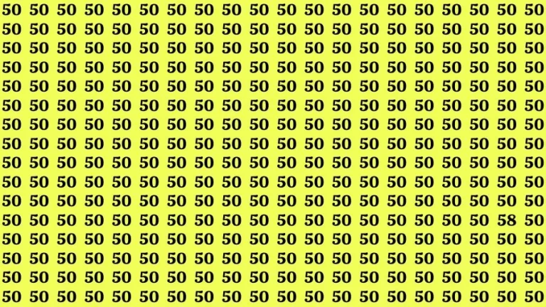 Optical Illusion Find and Seek: If you have 50/50 Vision Find the Number 58 among 50 in 14 Secs