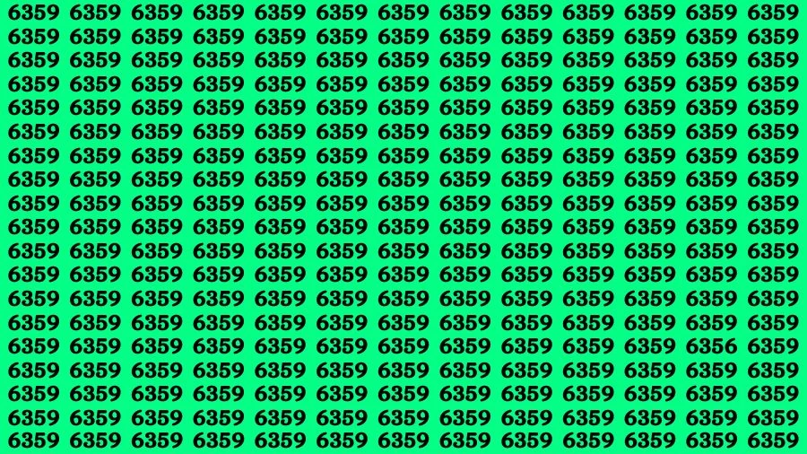 Optical Illusion: If you have 4K Vision Find the Number 6356 in 16 Secs