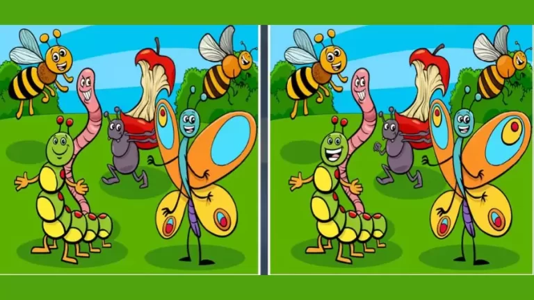 Spot the Difference Game: Only a Genius can Find the 5 Differences in less than 20 seconds!