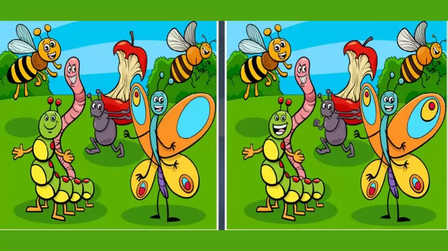 Spot the difference Game: Only a genius can find the 3 differences in less than 20 seconds!