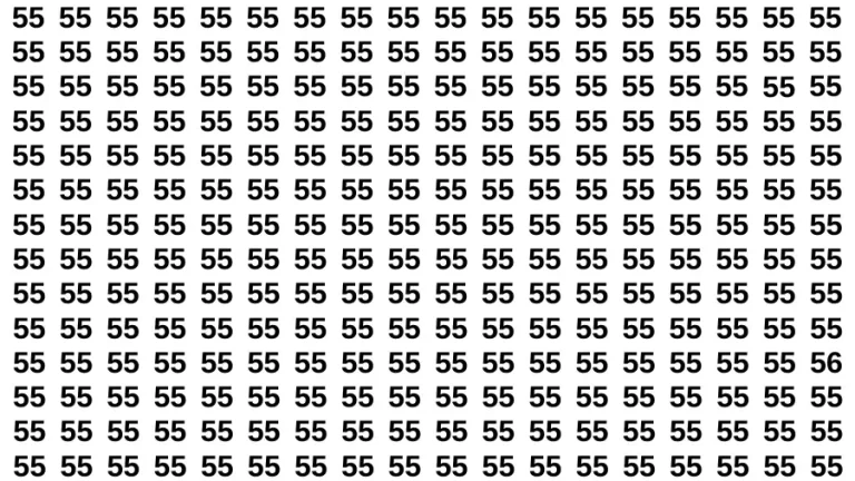 Thinking Test: Can you Spot the Hidden Number 56 in 12 Secs