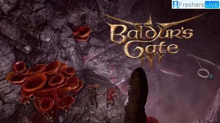 Where to Find the Festering Cove in Baldur’s Gate 3? Discovering the Hidden Gem