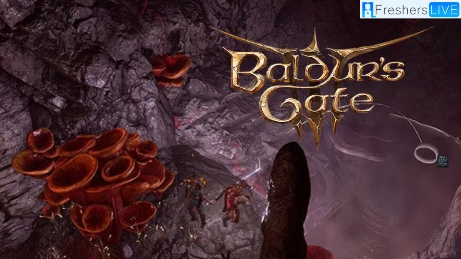 Where to Find the Festering Cove in Baldur’s Gate 3? Discovering the Hidden Gem