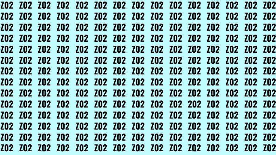 You Have Extra Sharp Eyes Find the Number 202 in the Image within 10 seconds?