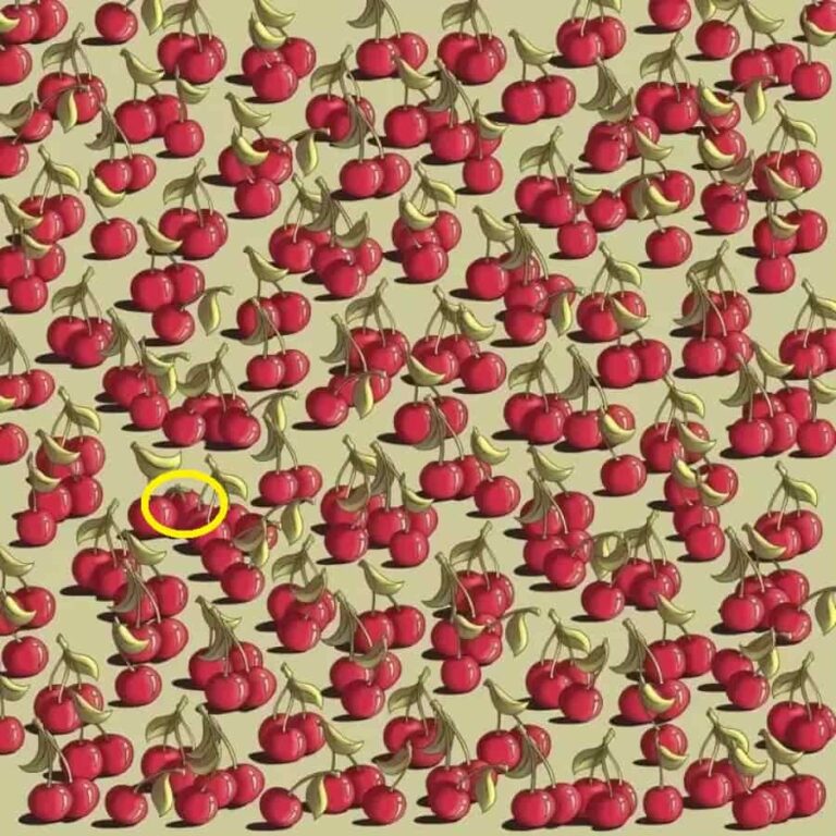 Optical Illusion Test: Can you find the tomato among cherries in 9 seconds?