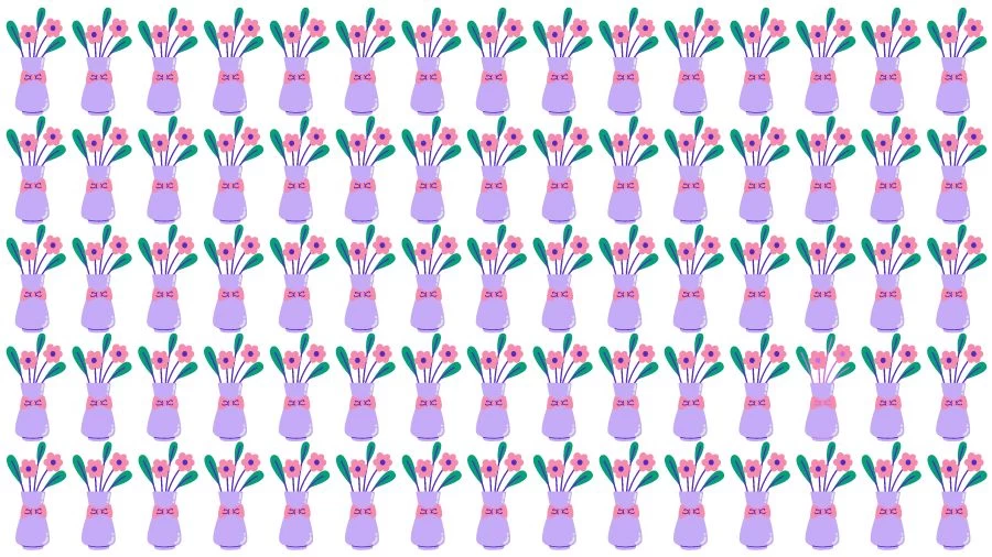 Optical Illusion Brain Challenge: If you have Eagle Eyes find the Odd Flower vase in 15 Seconds