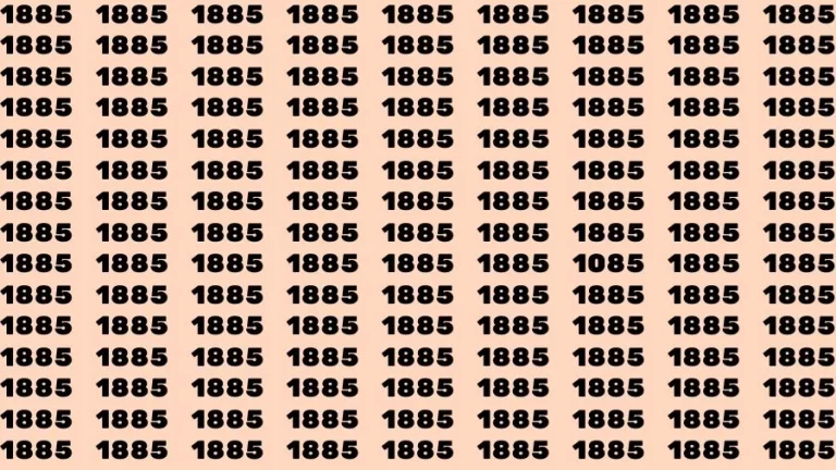 Optical Illusion Brain Challenge: If you have 50/50 Vision Find the number 1085 in 15 Secs