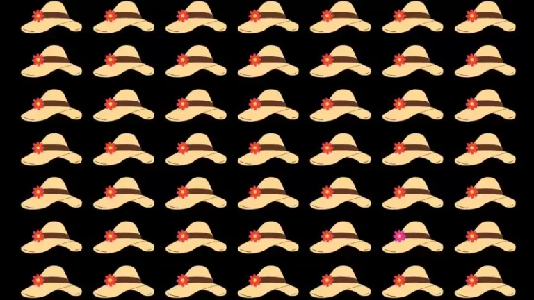 Optical Illusion Challenge: If you have Eagle Eyes find the Odd Hat in 15 Seconds