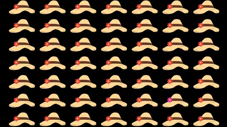 Optical Illusion Challenge: If you have Eagle Eyes find the Odd Hat in 15 Seconds