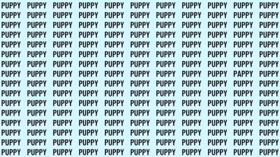 Visual Test: If you have Eagle Eyes find the Word Pappy among Puppy in 12 Secs